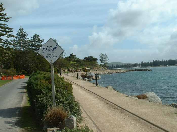 Victor Harbour Horse Tram 1